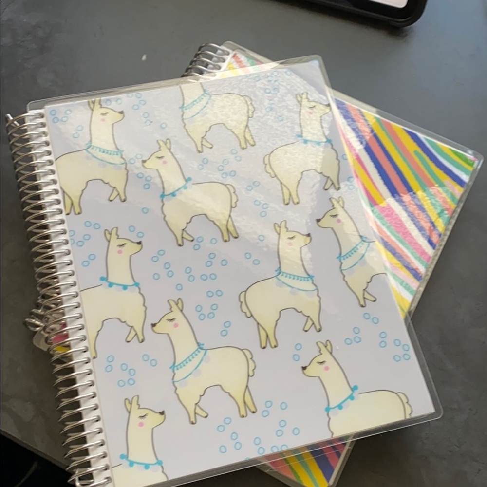 2 Erin Condren Notebooks